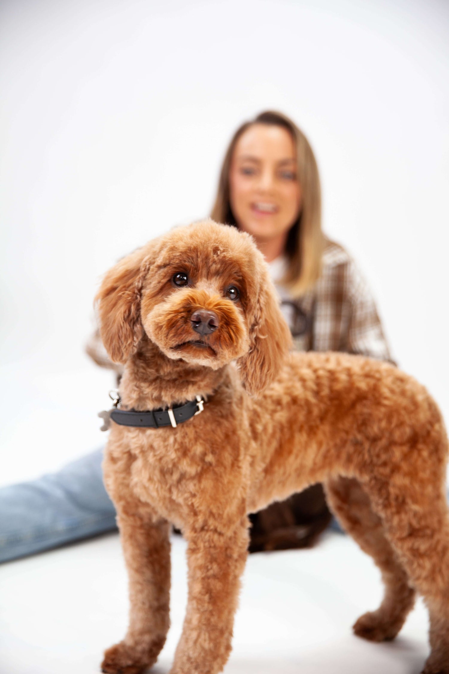 Dog fun ideas, Dog friendly holidays, dog clubs, and training ideas