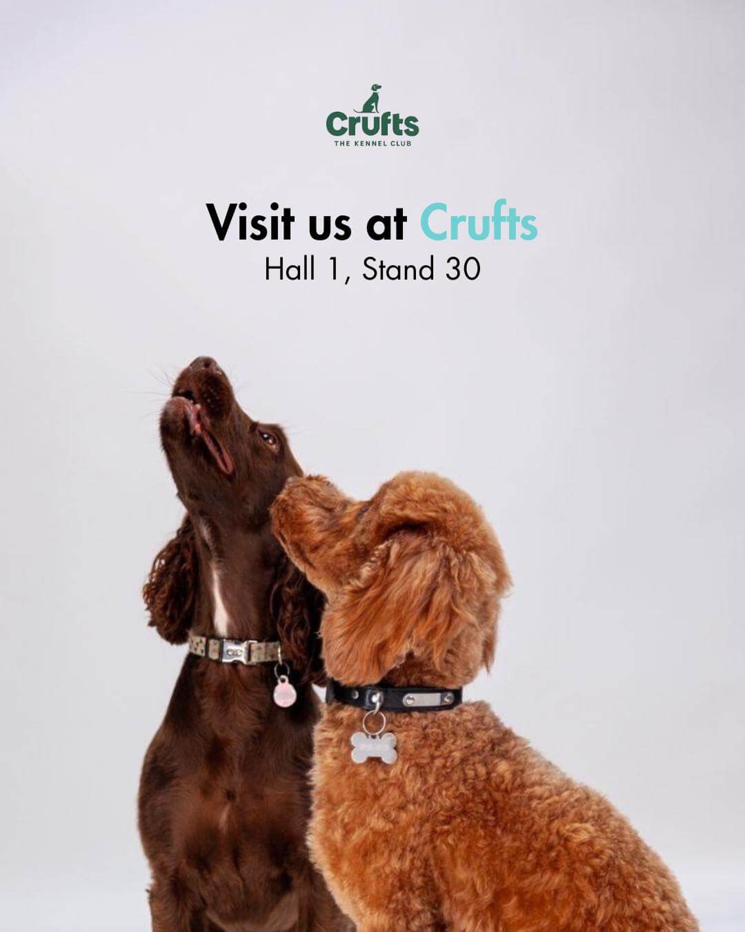 Crufts 2025 - DotDotPet