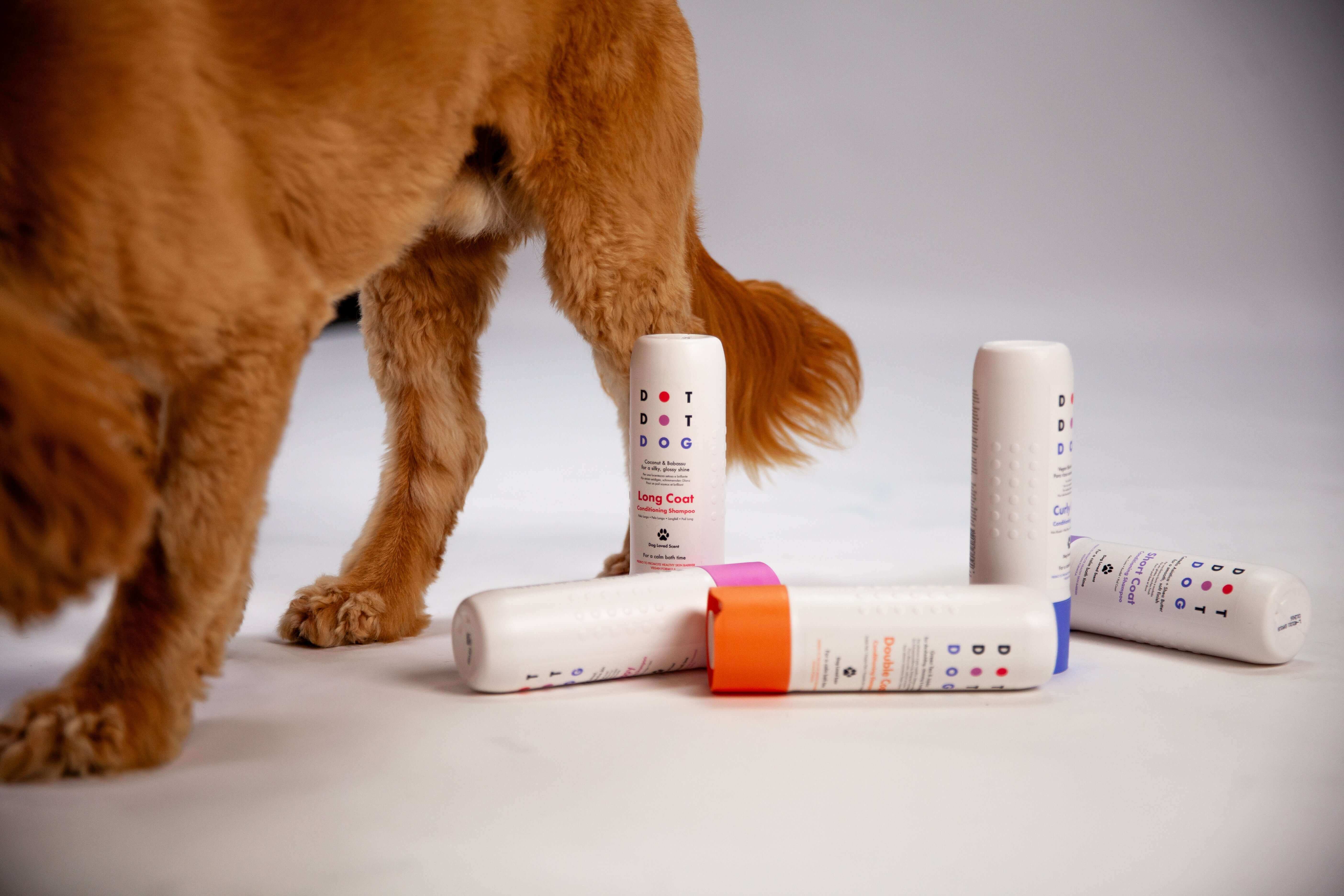 How often should I wash my dog. DotDotPet's handy guide will help