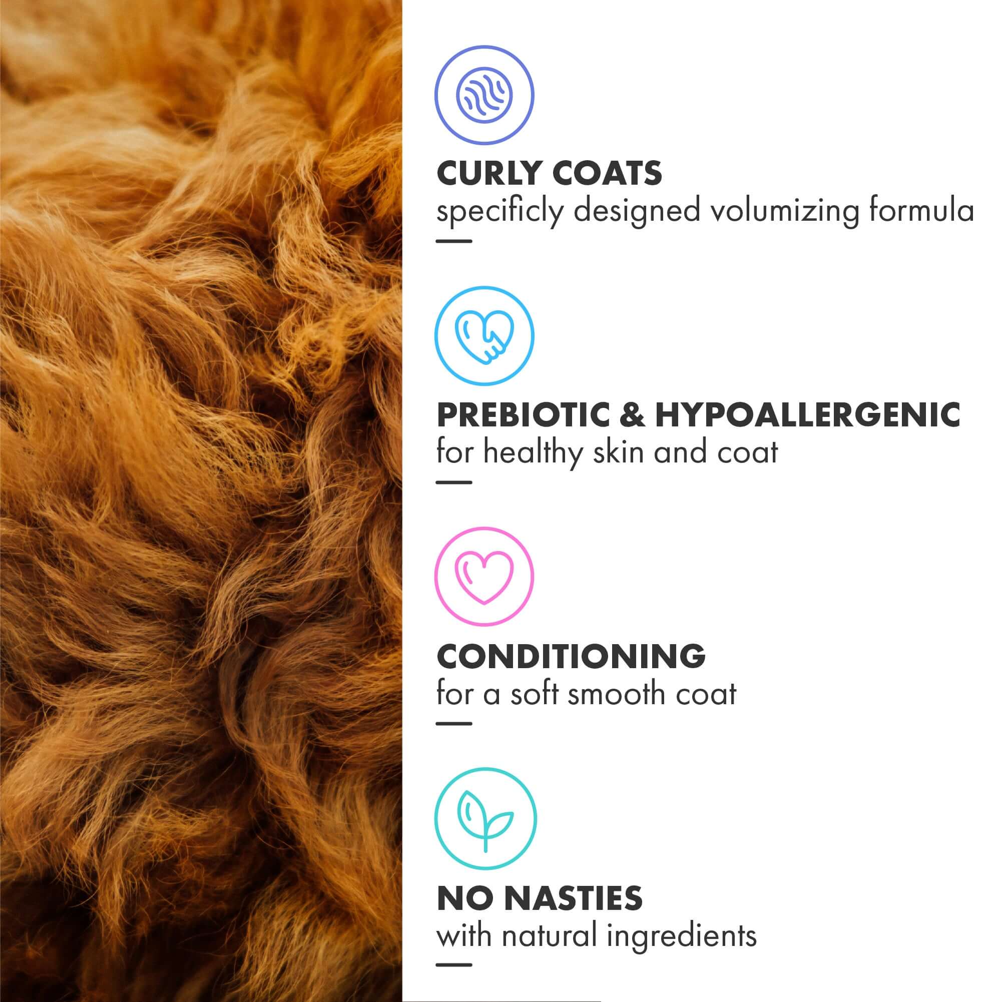 Curly Coat Conditioning Shampoo - Prebiotic, Hypoallergenic, Conditioning, Easy to Use Bottle, Deodorising
