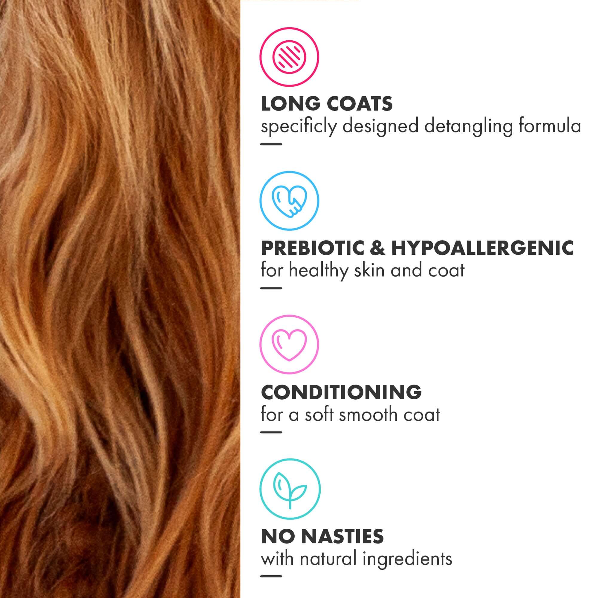 Long Coat detangling Shampoo - prebiotic, hypoallergenic, easy to use bottle, kind to sensitive skin, conditioning