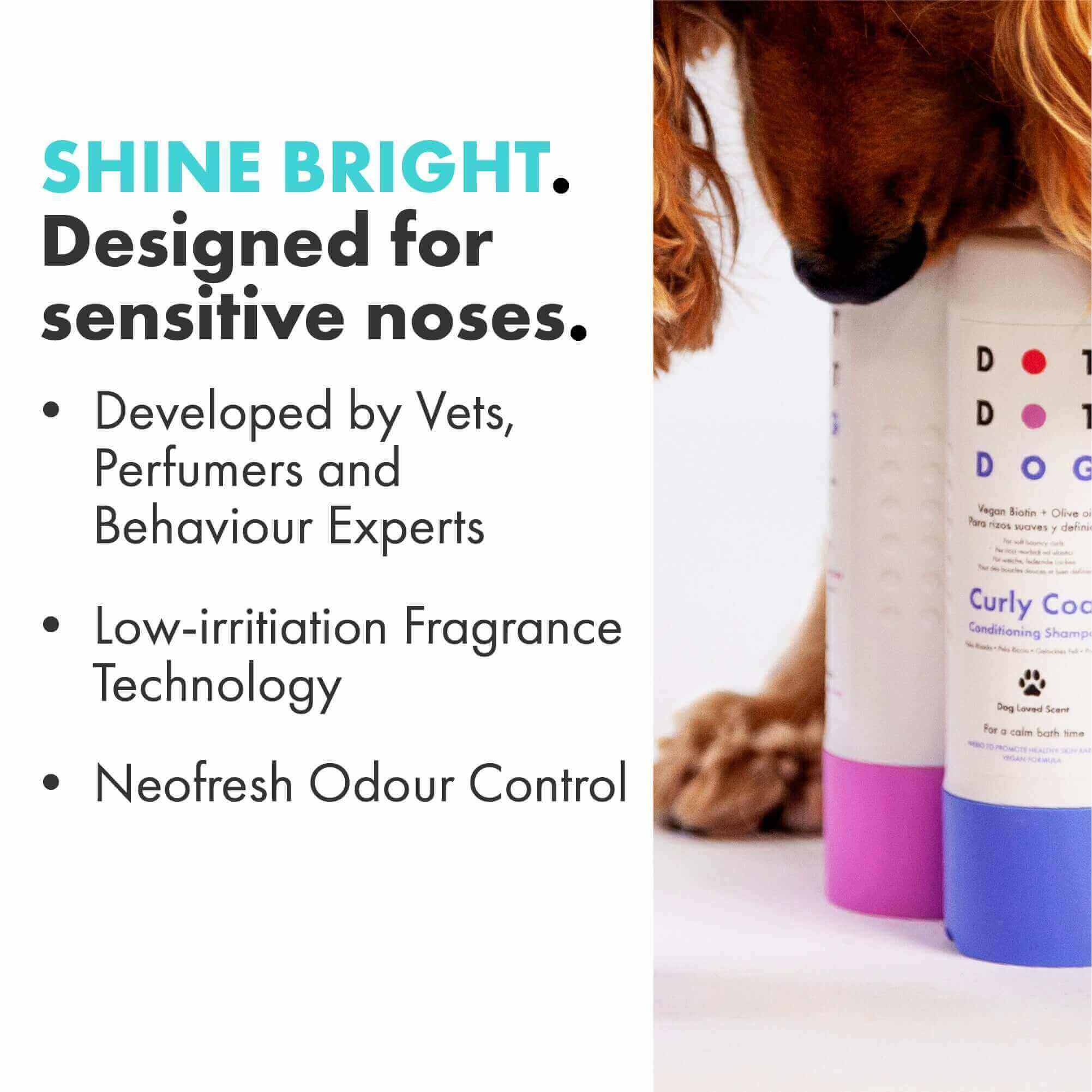 Shine Bright fragrance from DotDotPet designed for sensitive noses alongside vets and behaviourists