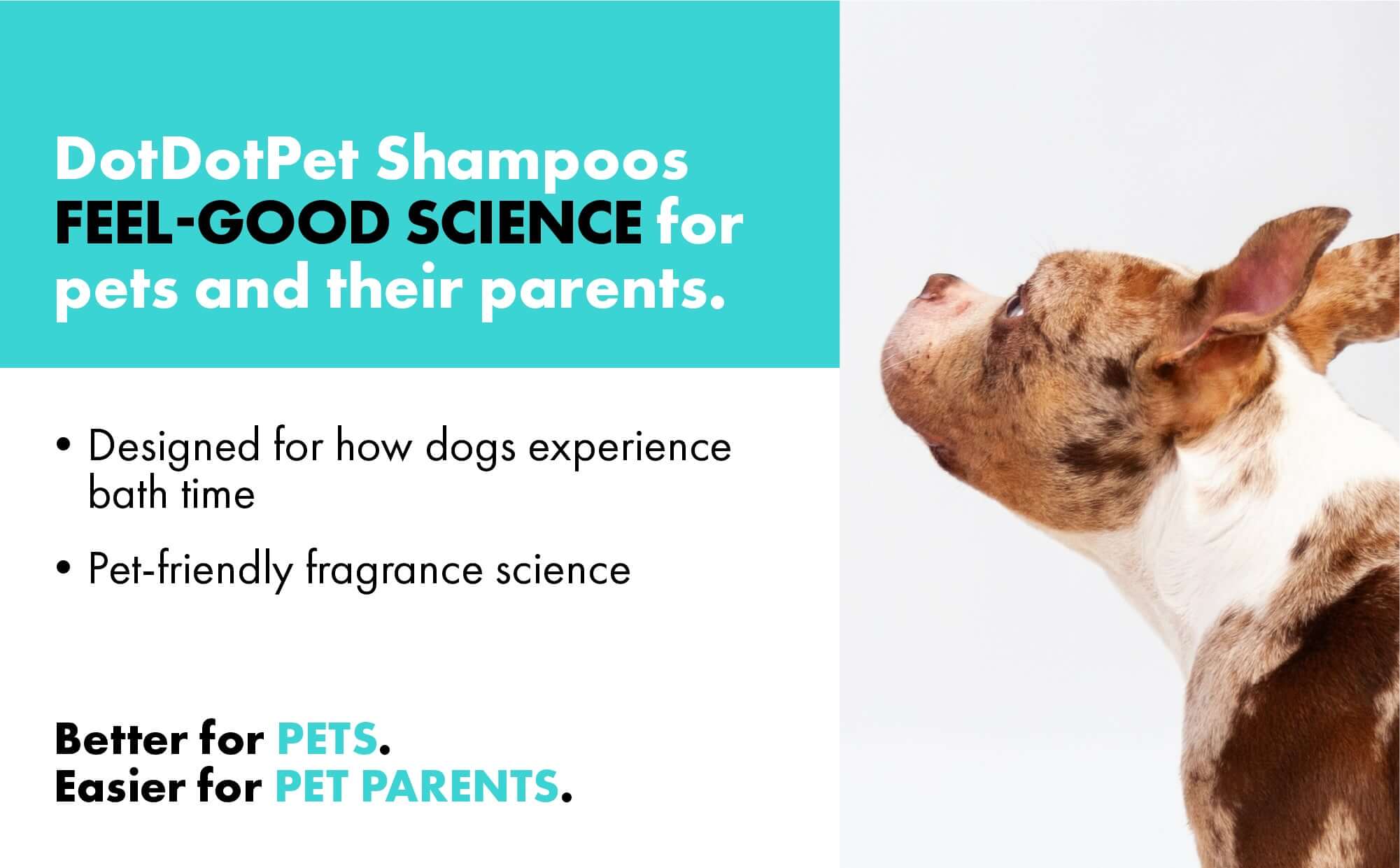 DotDotPet Dog Shampoos with a dog and text about pet-friendly shampoo.