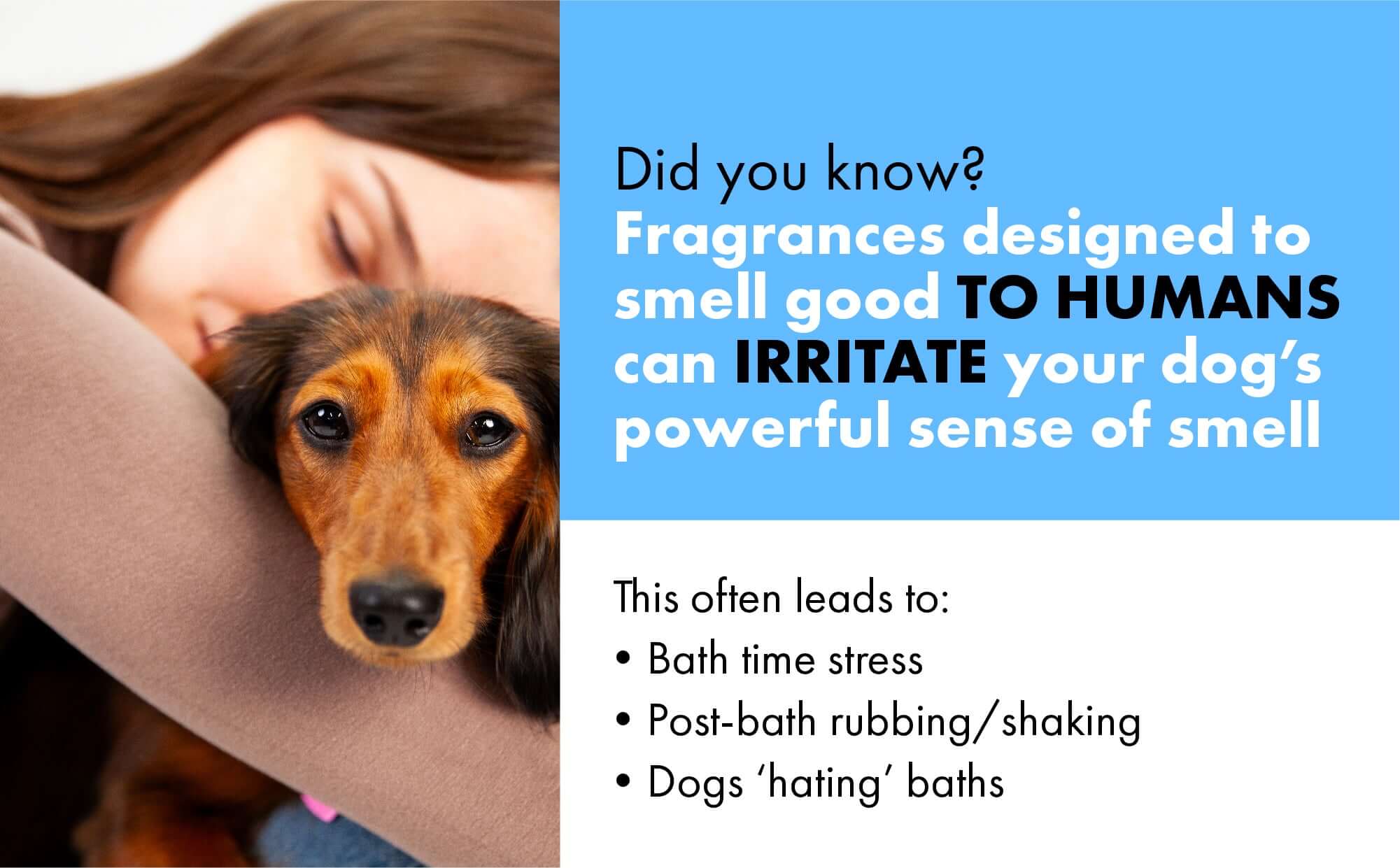 Dog being held by a person with text about fragrances designed for humans irritating dogs' sense of smell.