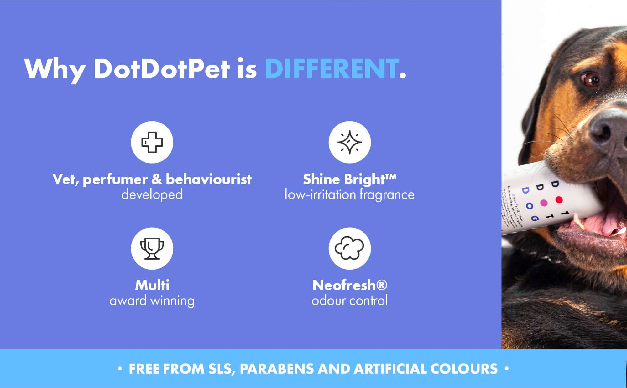 DotDotPet is different dog holding a Shampoo on a blue background with text about product features.