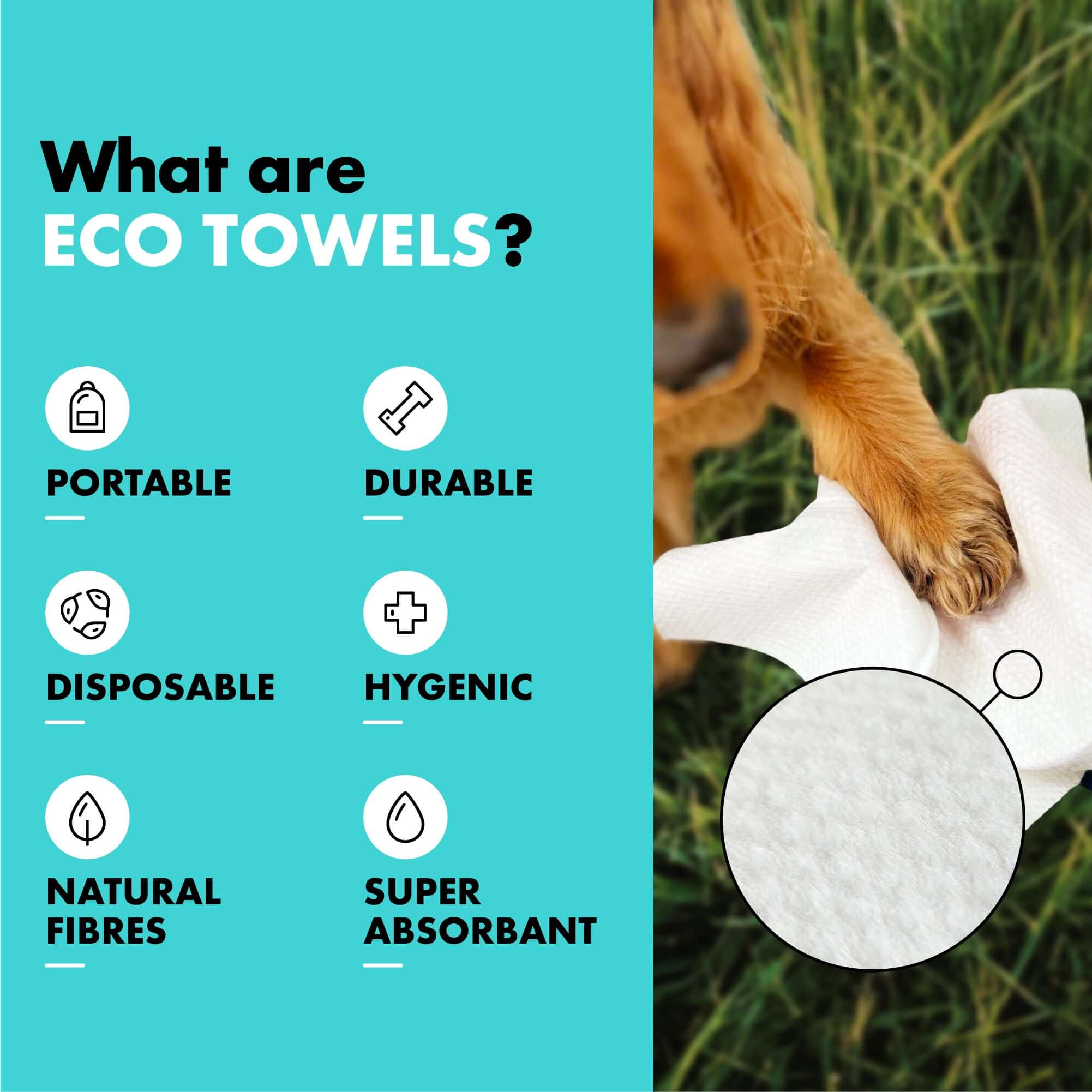 Infographic showing what the Eco Dog Drying towels are for
