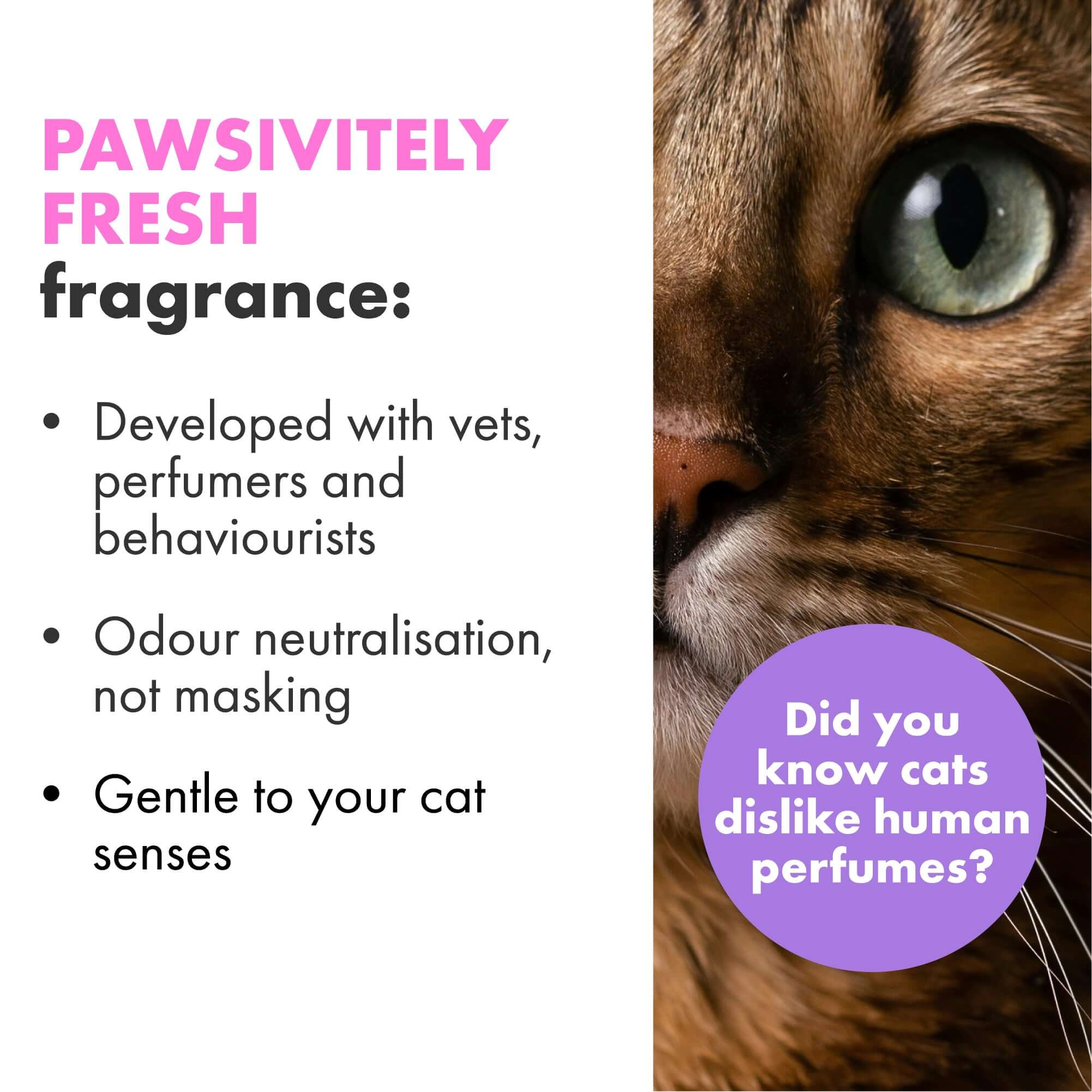 Explains about Pawsitively Fresh Fragrance and why it is safe for Cats
