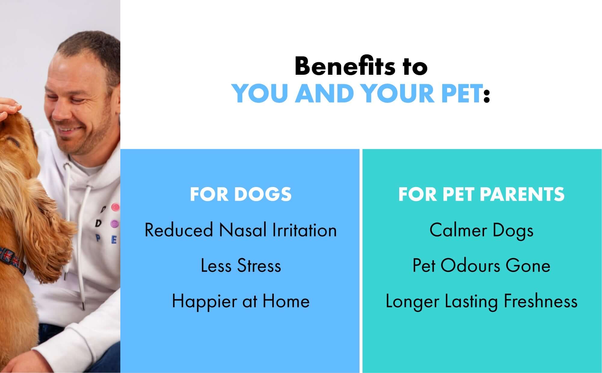 How shine bright deodorising spray positively impacts dogs and pet parents