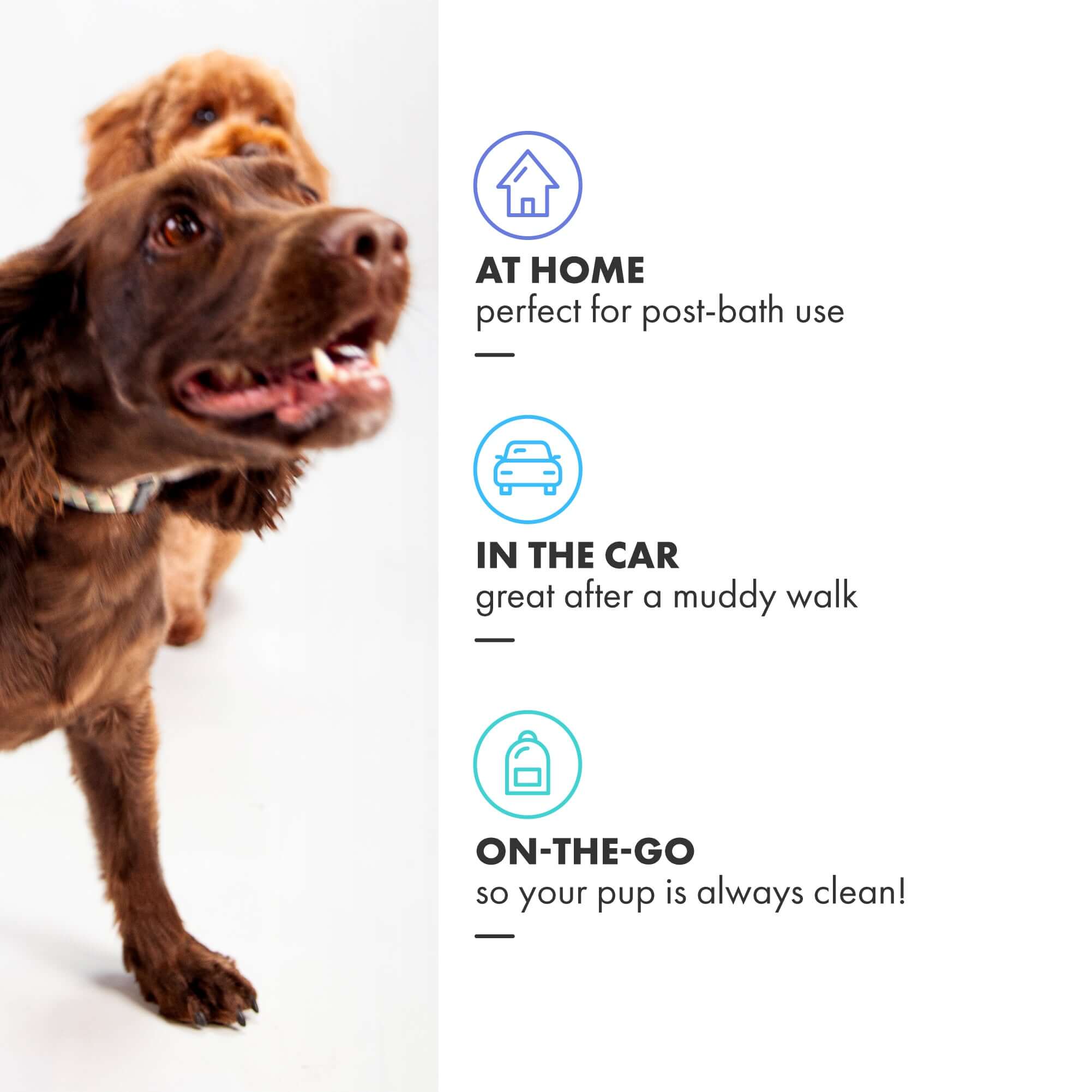 For use in the home car and travelling with dogs