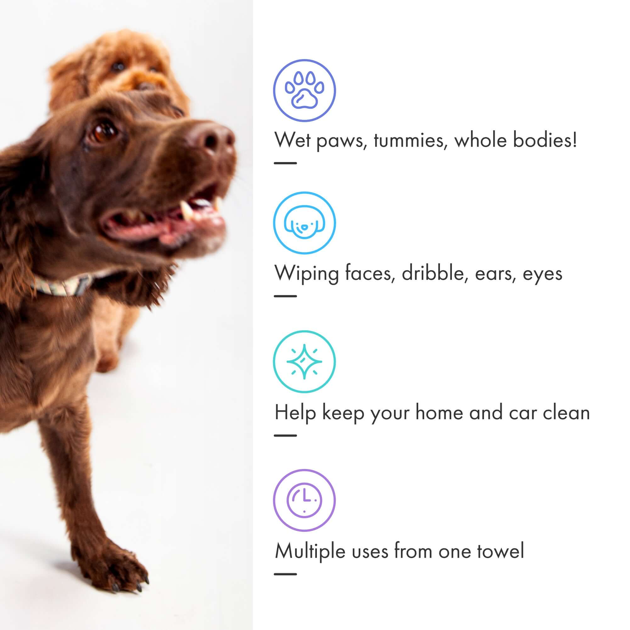 Where to use the Mini Eco Dogs - paws, ears eyes etc