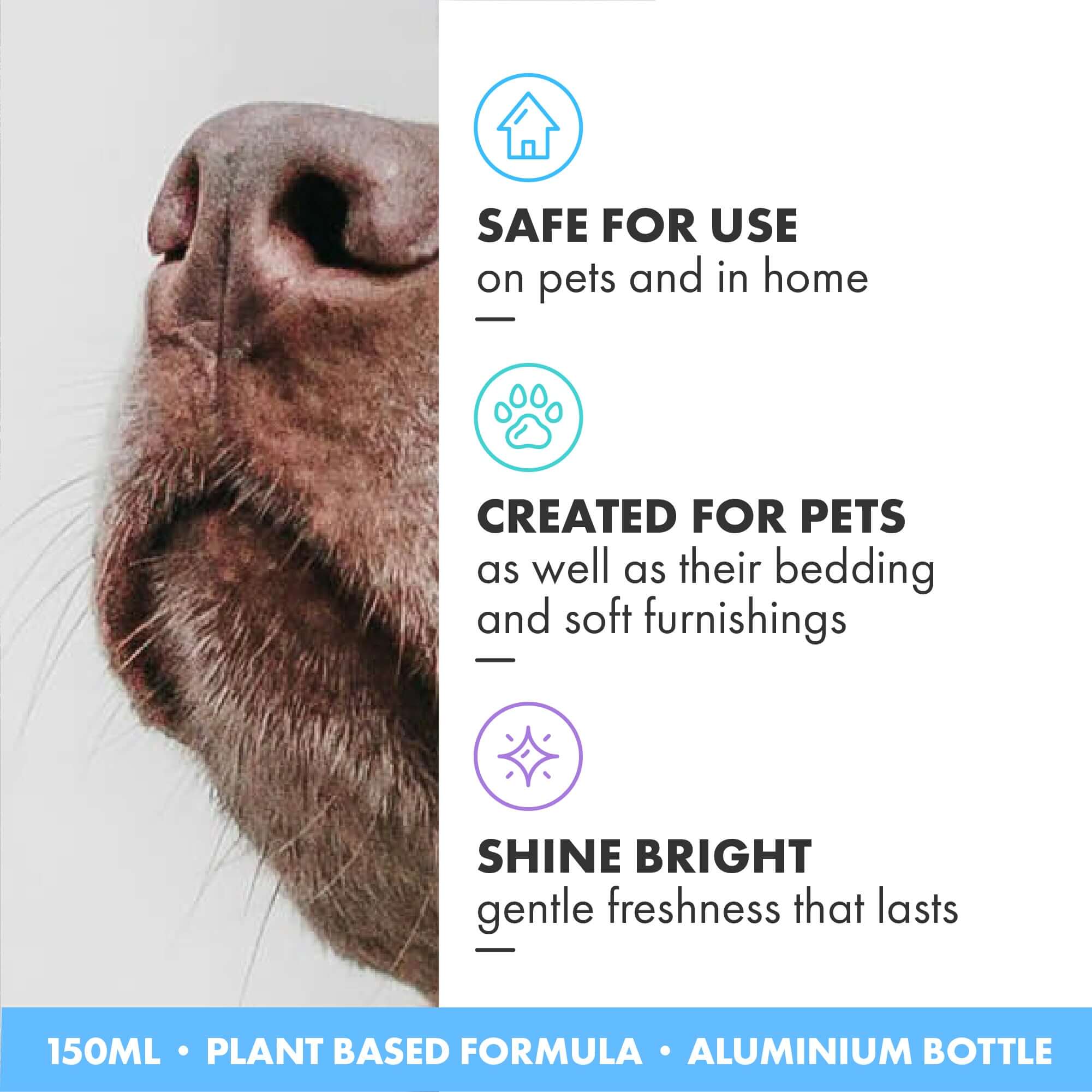 Safe for use in home and on pet