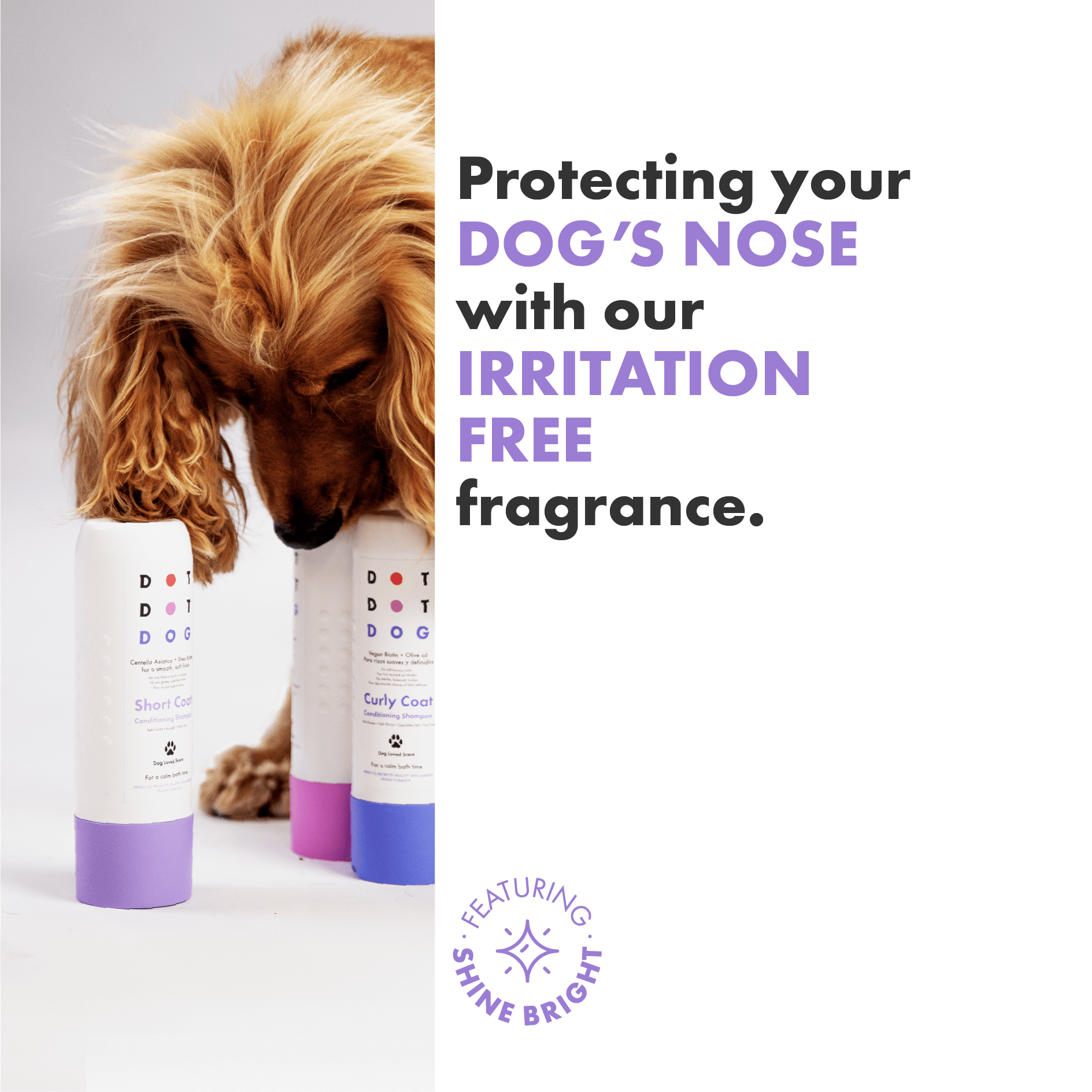 Shine bright low irritation fragrance designed for a dog's powerful sense of smell