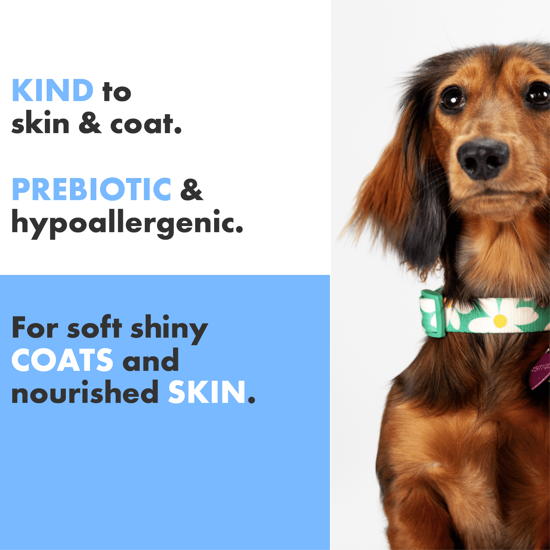 Kind to sensitive skin, prebiotic base, hypoallergenic, vegan formulaton