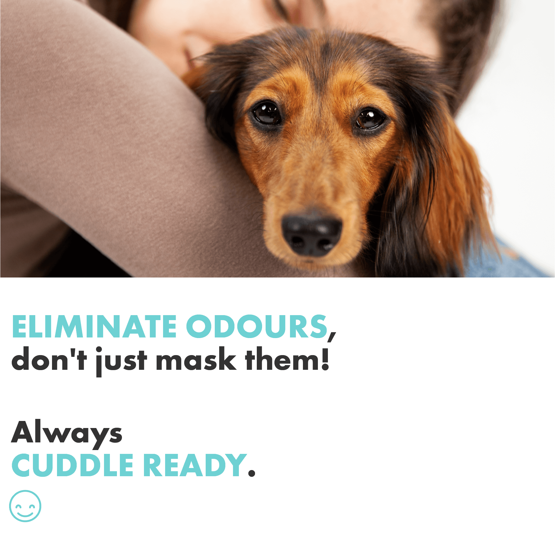 The Dog Shampoo eliminates odours it doesn't just mask them