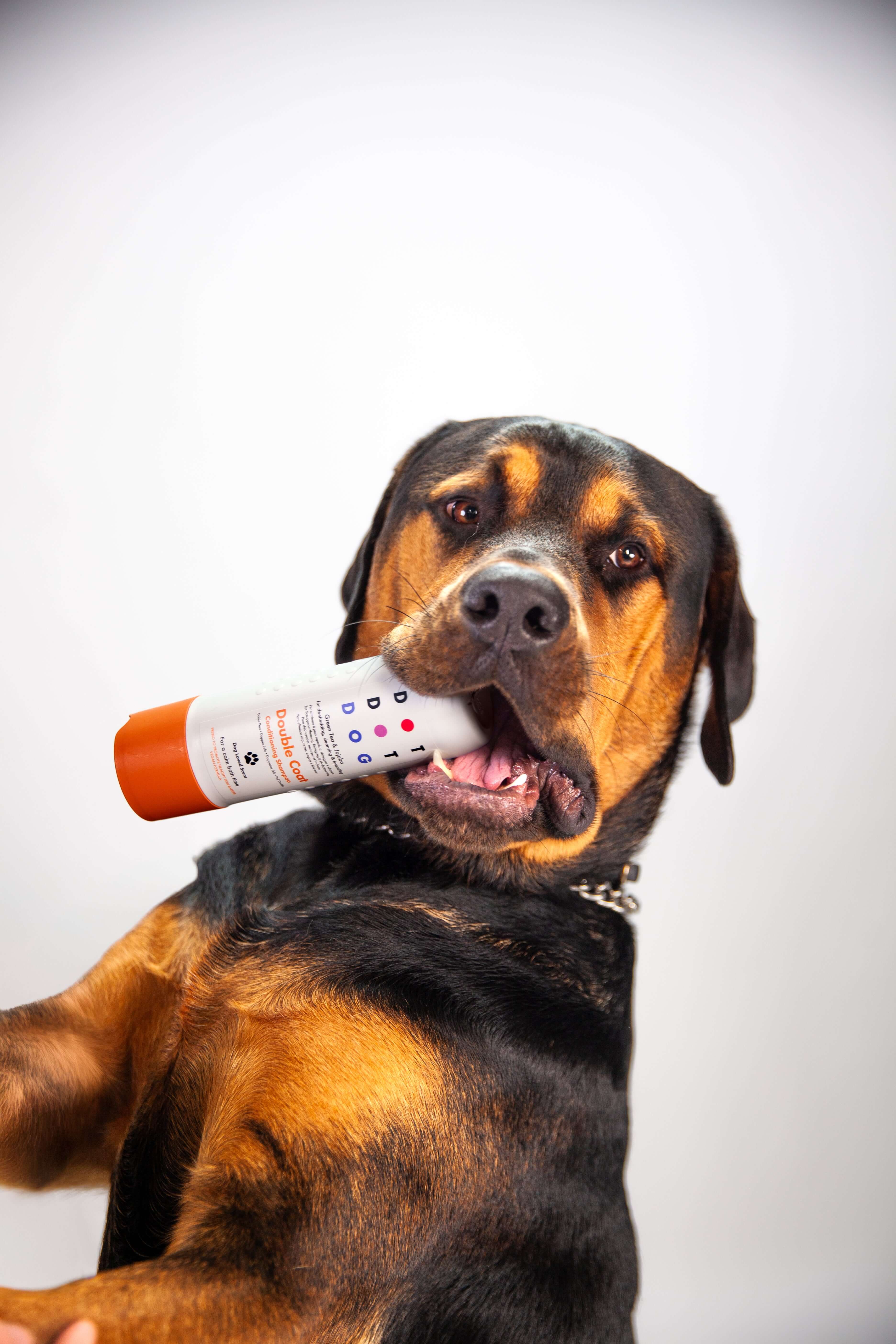 Conditioning Oatmeal Dog Shampoos with an easy to use bottle. Reduce dog bath time stress.