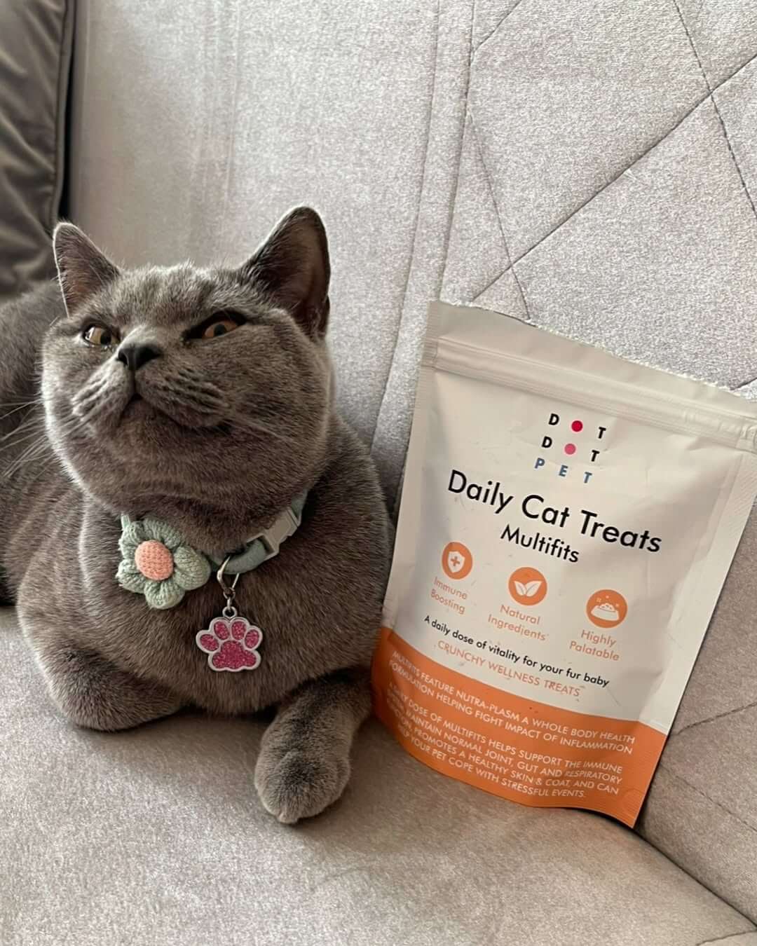 Multifit Multivitamin Cat Supplment from DotDotPet
