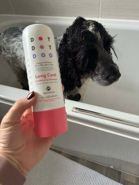 Spaniel in bath with DotDotPet Detangling Shampoo
