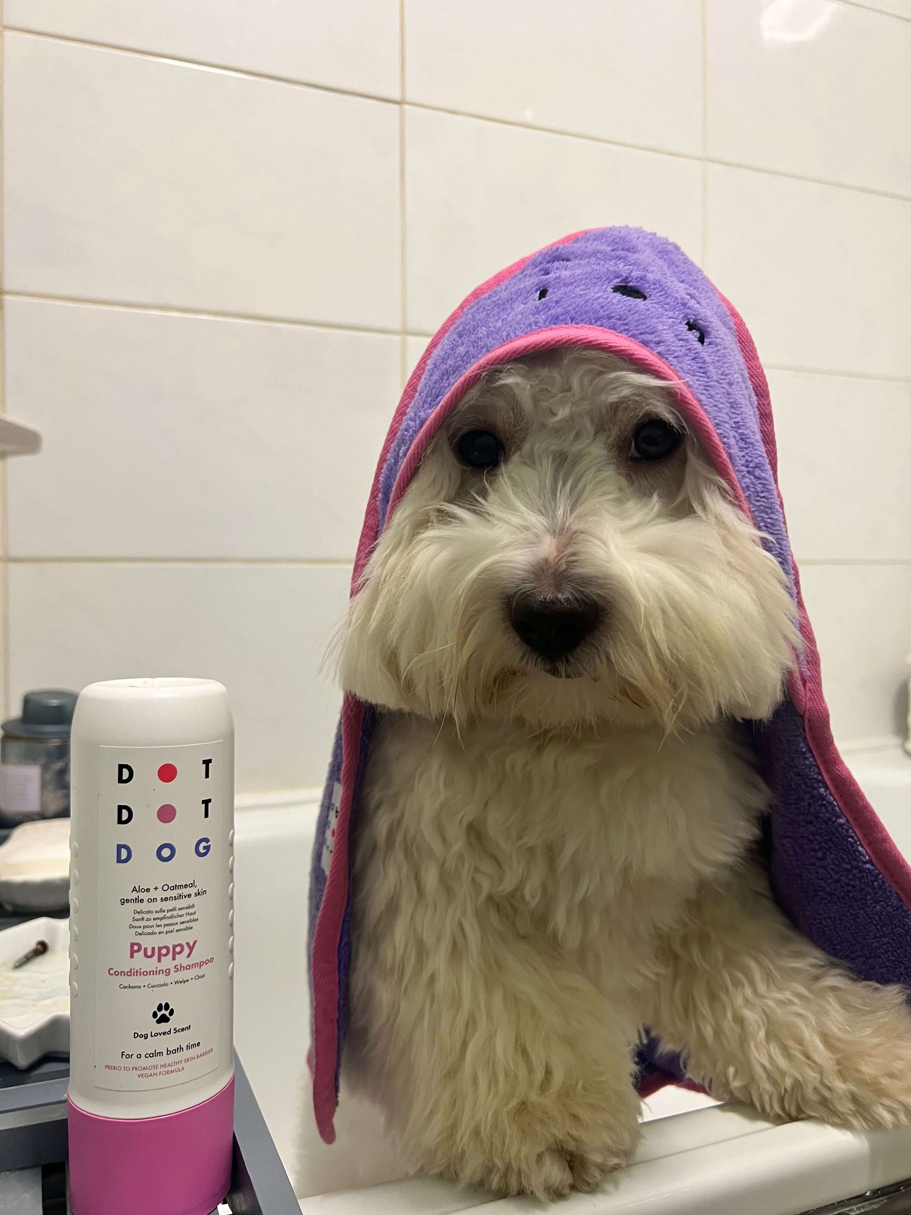 Puppy in bath with puppy shampoo from DotDotPet and bamboo towel