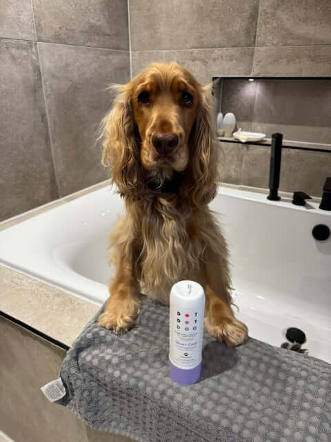 Dog in bath with short coat shampoo from DotDotPet