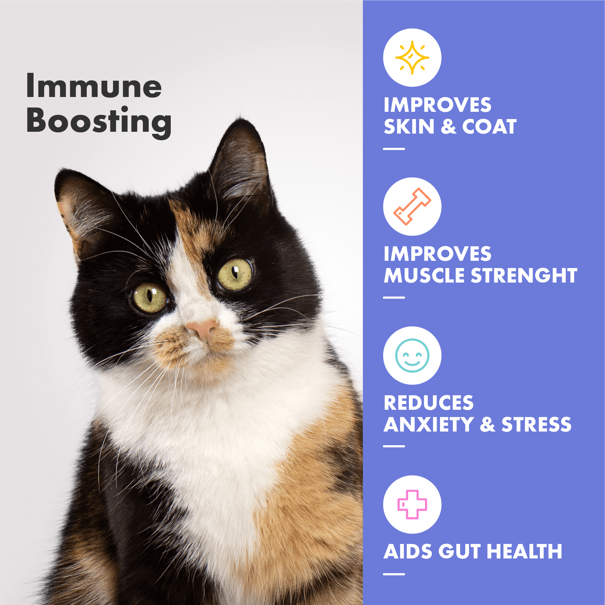 Multifit Multivitamins for Cats contain plasma and collagen, proven to boost immune system, improve skin and coat, aid gut health, reduce stress and improve muscle strength