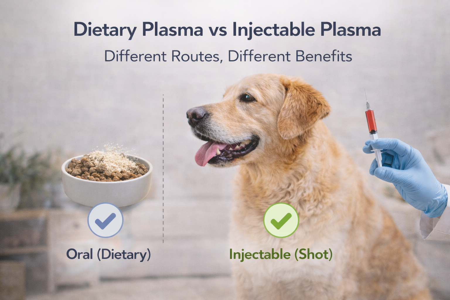 Dietary Plasma the benefits for dogs