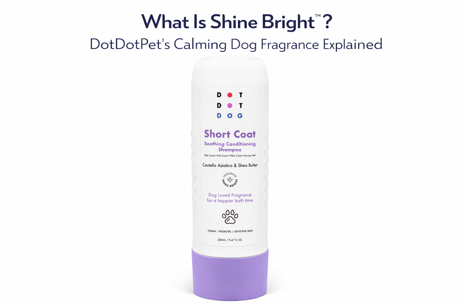 Shine Bright DotDotPet's signature fragrance