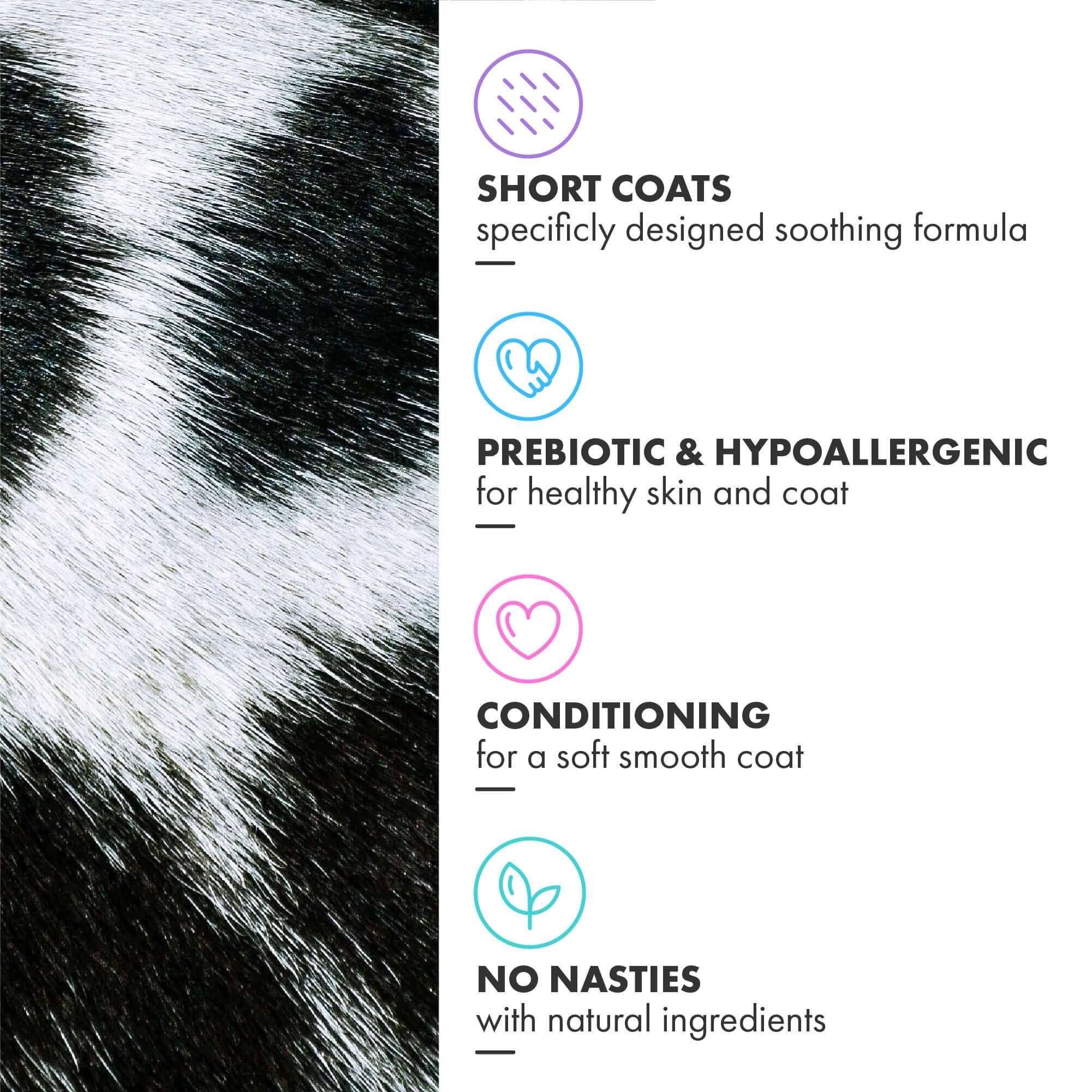Short Coat conditioning shampoo - prebiotic, hypoallergenic, easy to use bottle, kind to sensitive skin