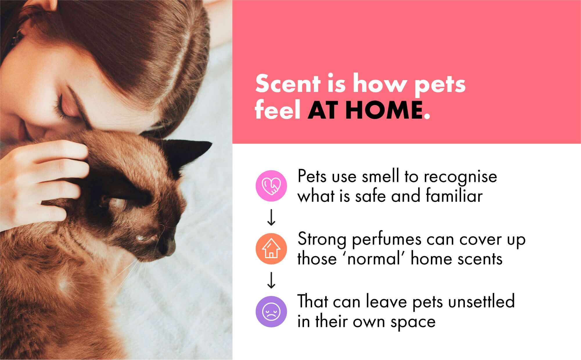 DotDotPet fragrance science - why pets don't like human perfumes