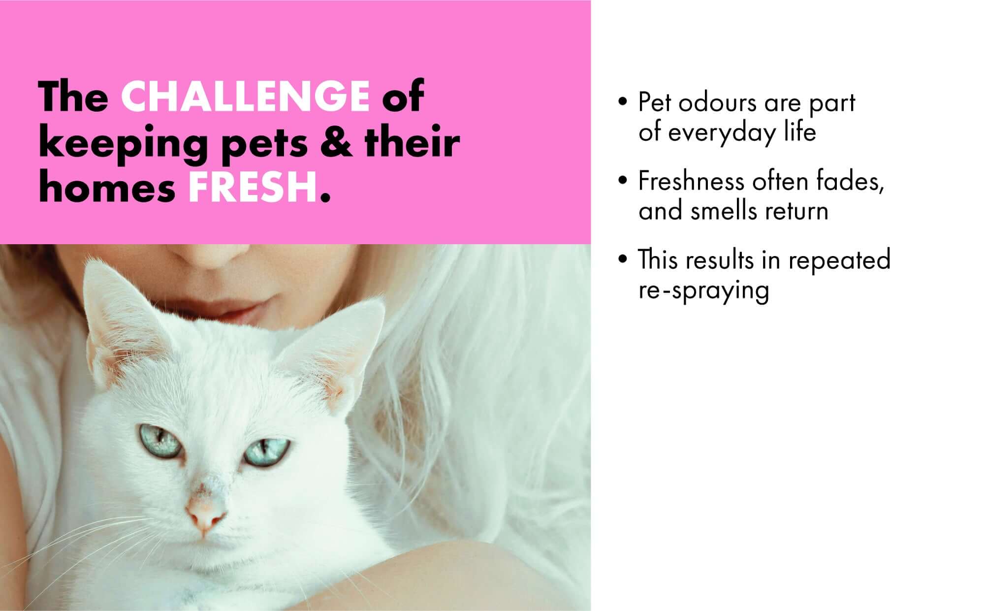 Challenges of keeping your cat and home fresh