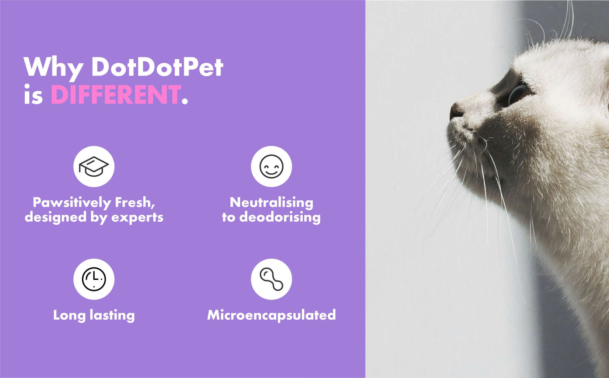 Why Pawsitively Fresh Deodorising Cat and Home Spay is different - designed by experts, long lasting, odour eliminating