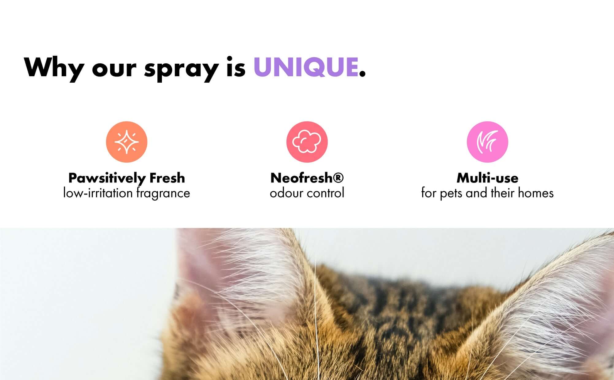 Why Pawsitively fresh deodorising spray is unique - long lasting freshness, odour control, on pet and in home