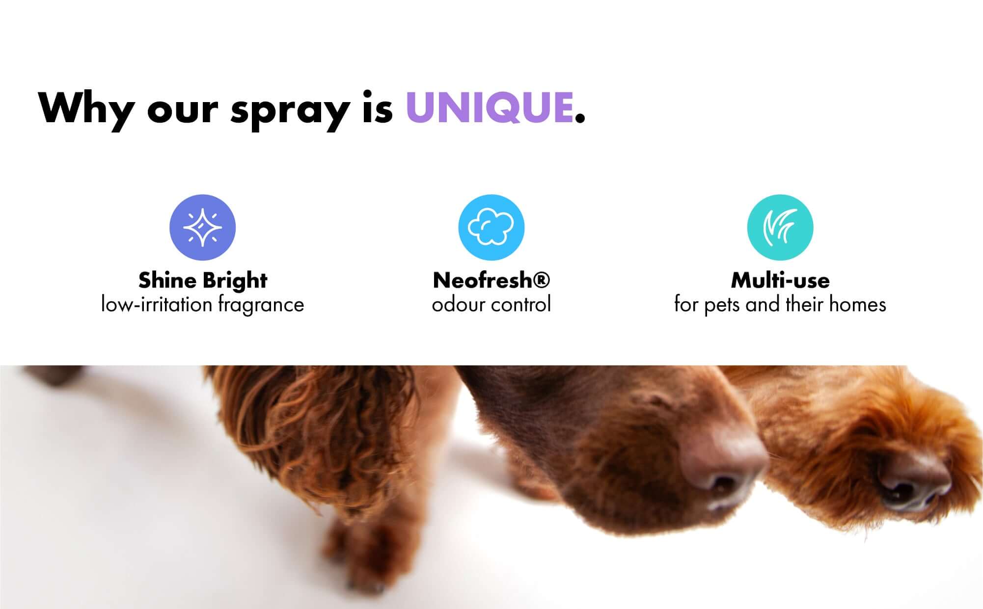 Benefits of the the spray 
