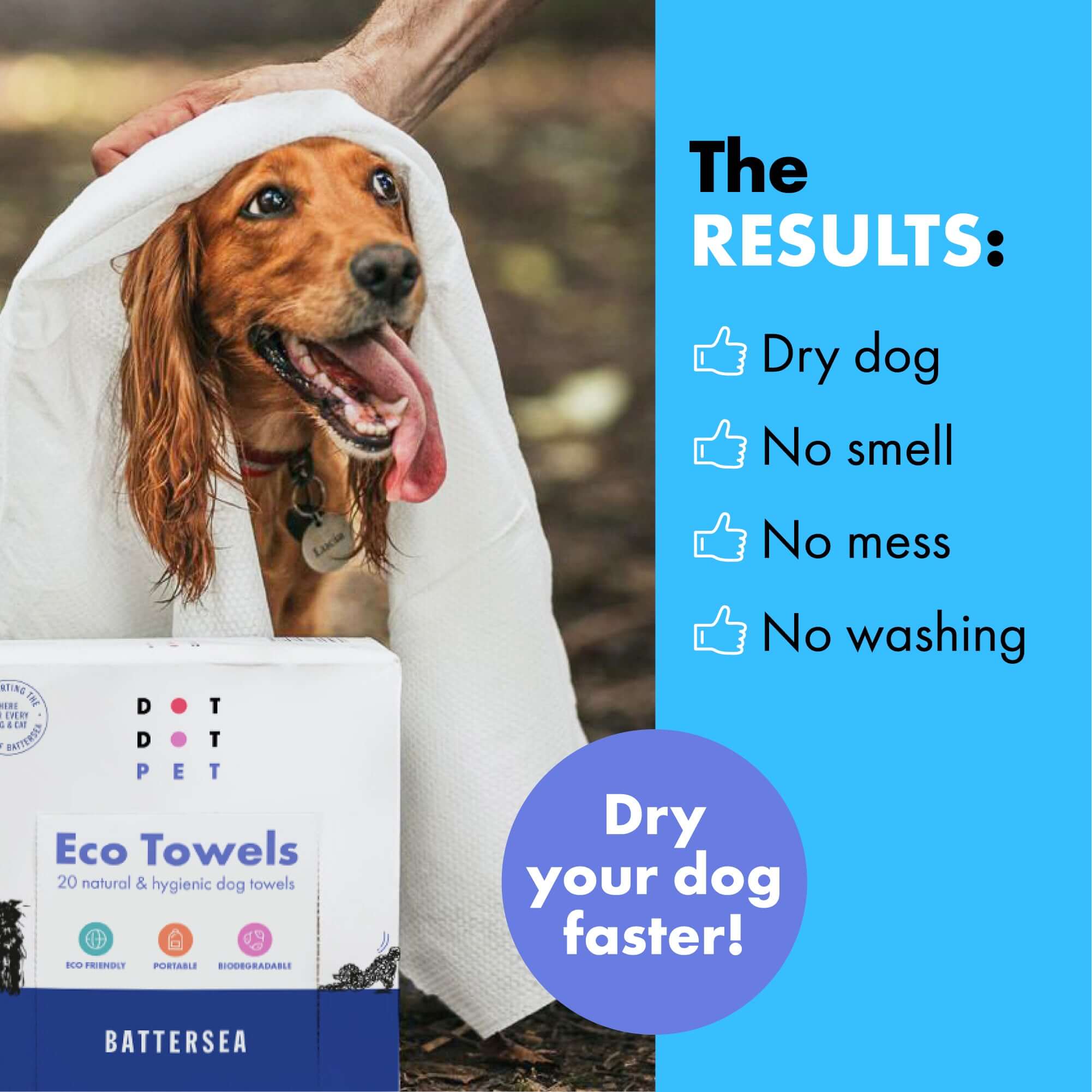 Results seen on the dog