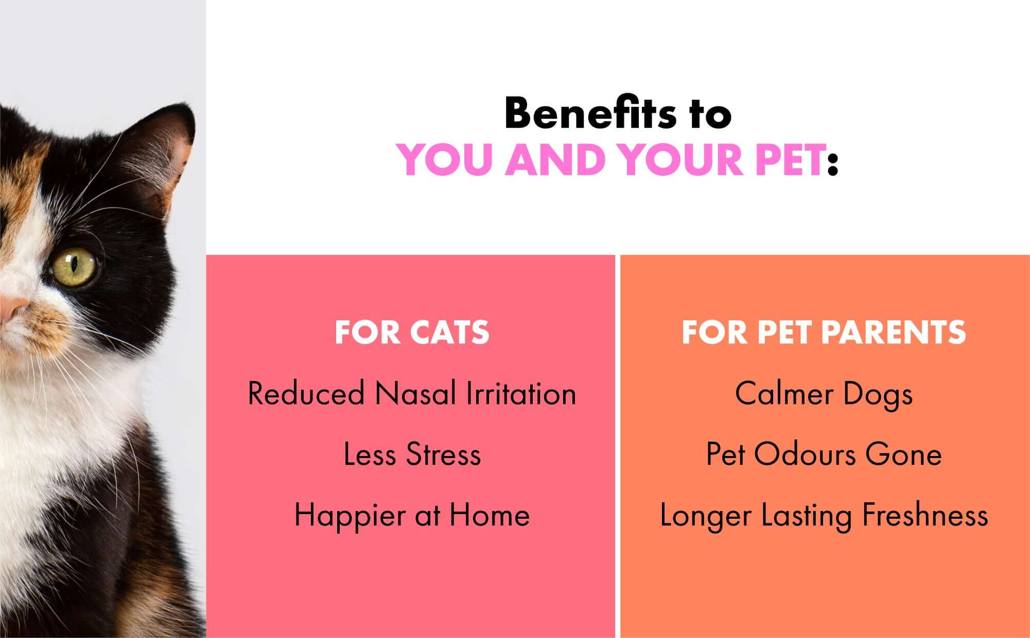Benefits to you and your cat by using Pawsitively Fresh Spray