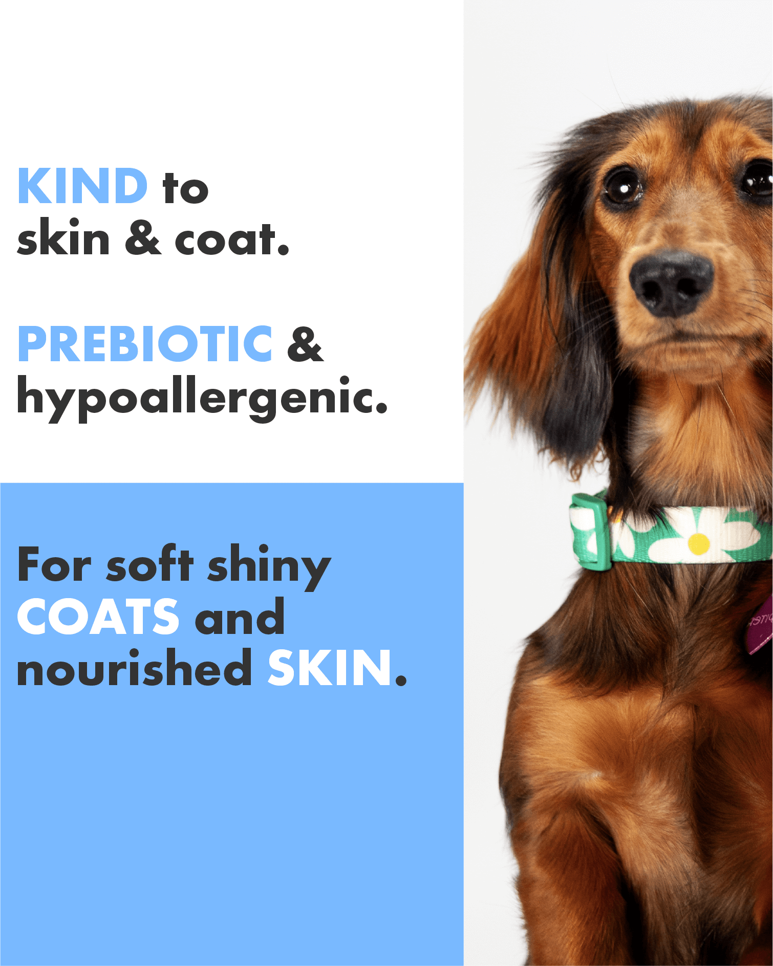 a prebiotic hypoallergenic formulation for shiny coats and nourished skin
