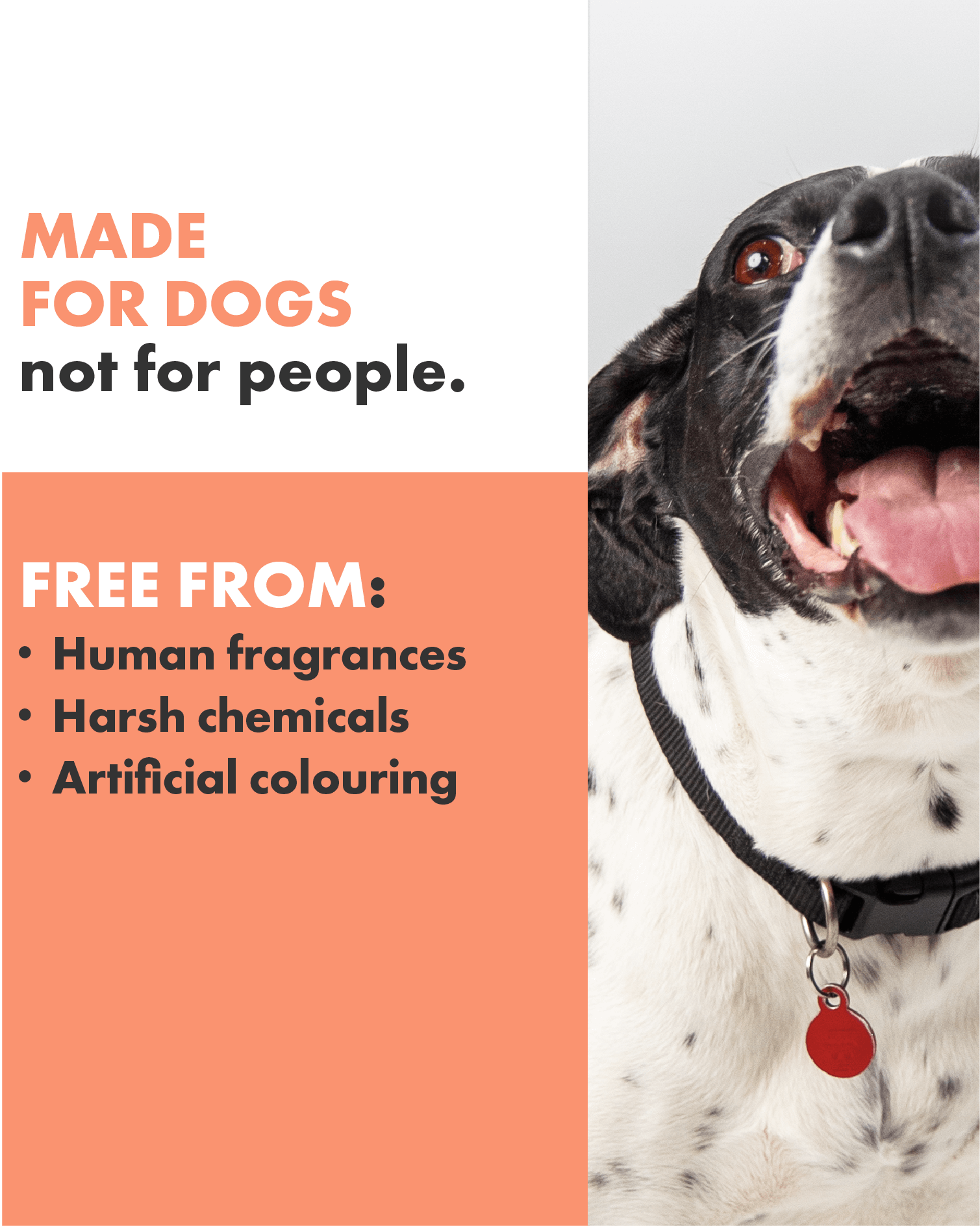 Shampoos designed specifically for dogs, from the powerful sense of smell down to the sensitive skin