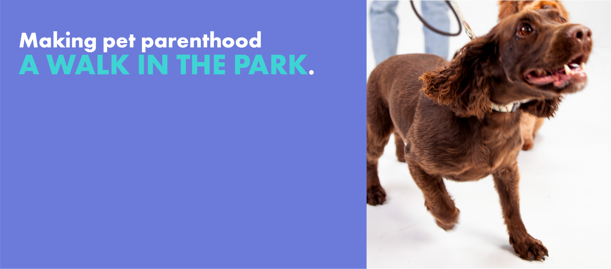 Vet Endorsed Award winning Pet Products from DotDotPet - Dog Shampoos, Plasma Pet Supplements and Eco Dog Towels