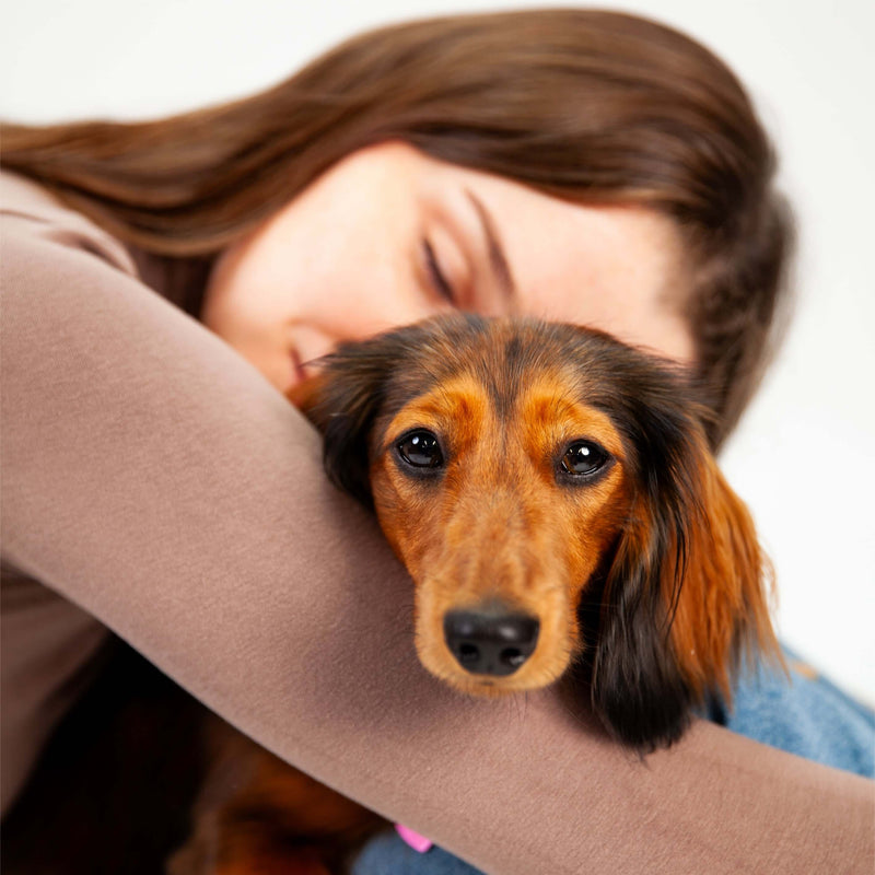 Girl cuddling her dog. Hygiene solutions for your pets between grooms