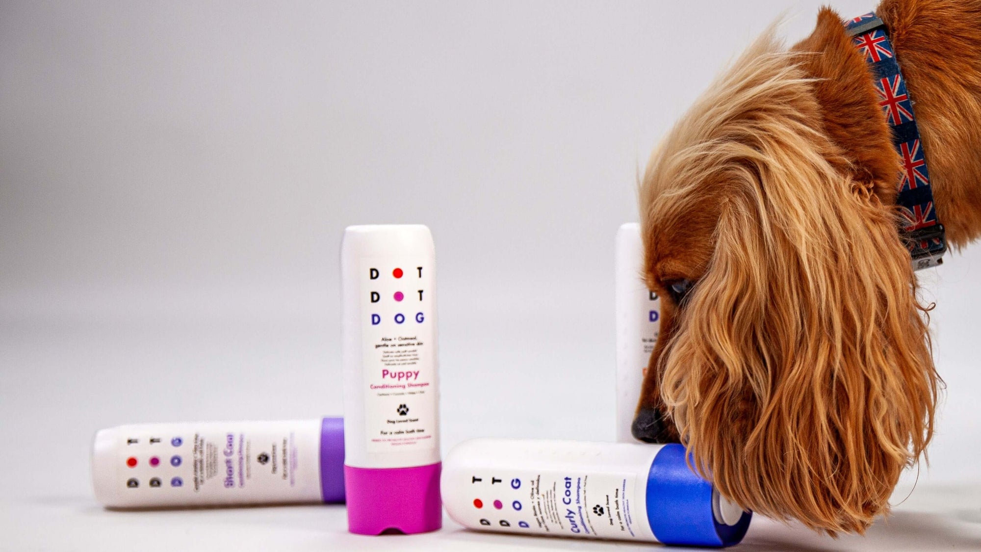 DotDotPet's award winning conditioning dog shampoos - hypoallergenic, prebiotic with low irritation fragrance