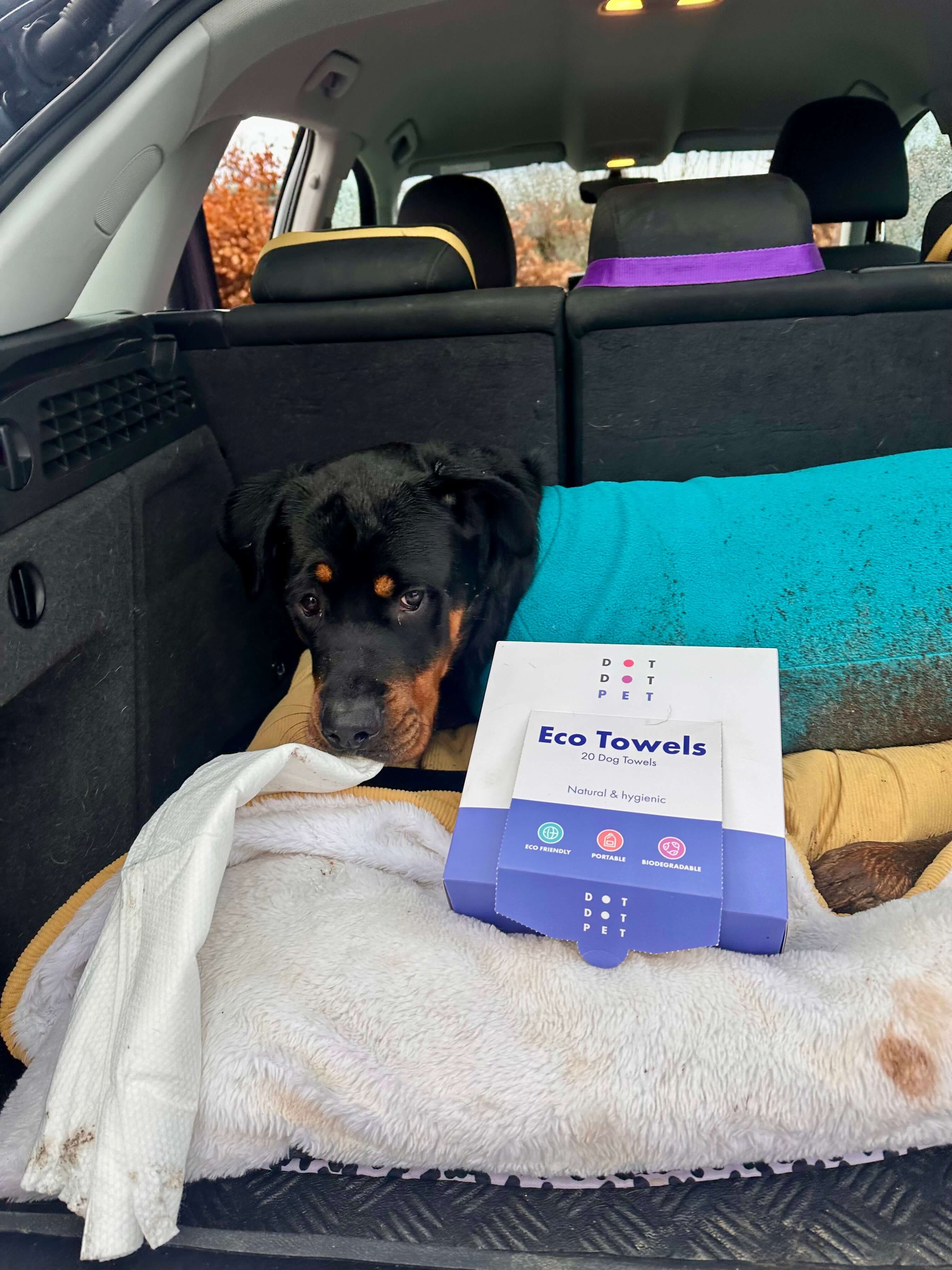 Dog in a car with a package of Eco Towels on a blanket