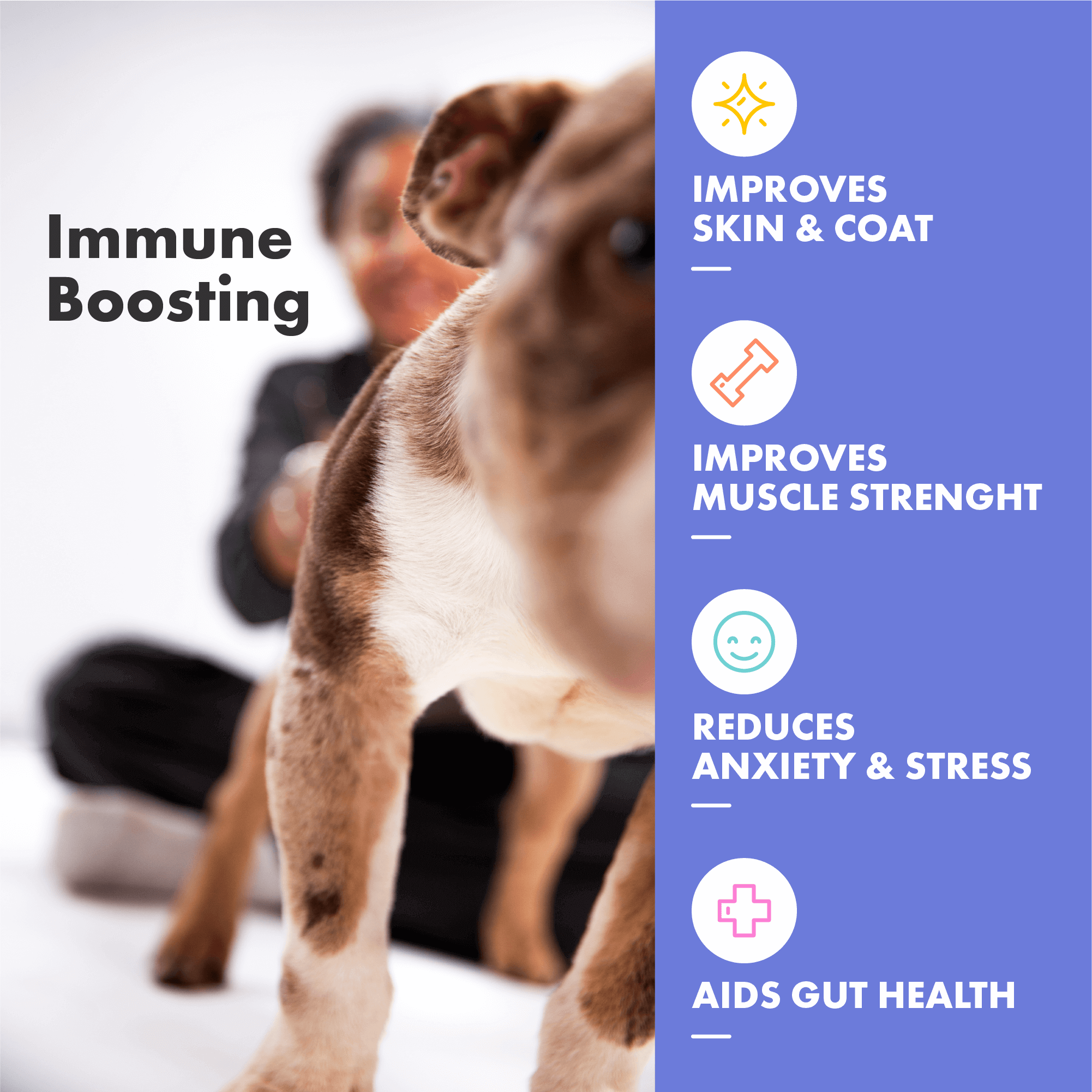 Multfit Multivitamins for Dogs contain Plasma and Collagen proven to boost immune system, improve skin and coat condition, aid gut health, reduce stress and improve muscle strength